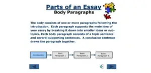 Main Body Paragraphs